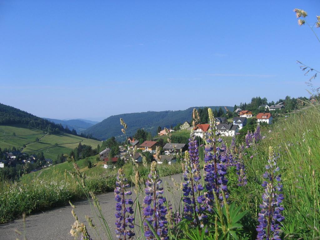 Haus Keller Ferienwohnungen 托特瑙贝格 外观 照片