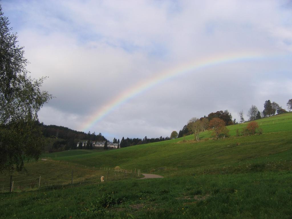 Haus Keller Ferienwohnungen 托特瑙贝格 外观 照片